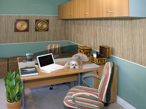 �������� ��� ����